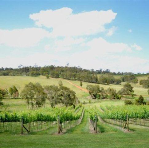 Oceanview Estate Vineyard Cottages Ocean View Εξωτερικό φωτογραφία